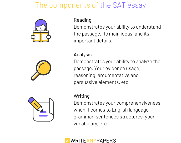 The components of the SAT essay: reading, analysis, writing