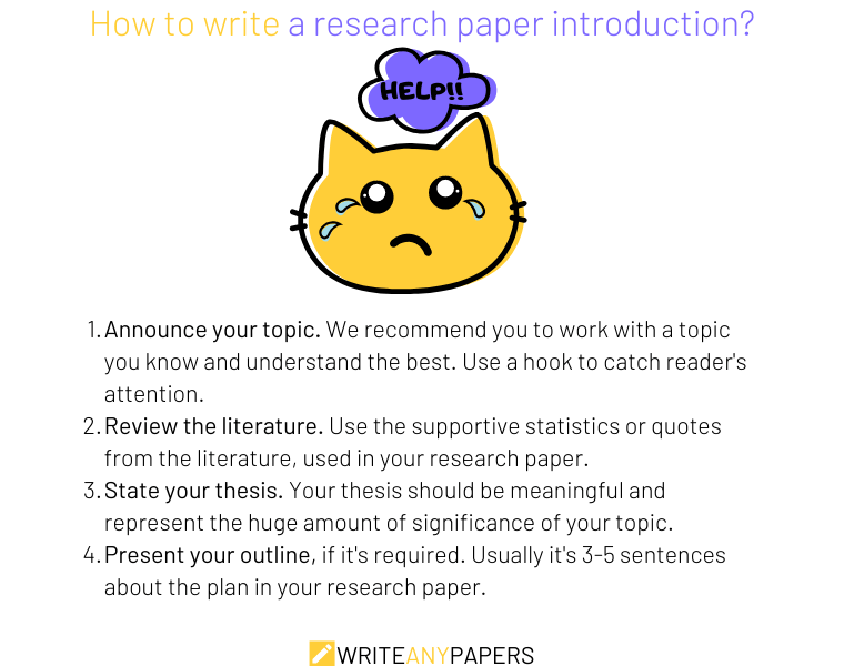 A guide on how to write a research paper introduction