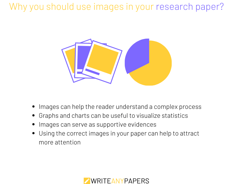 where to include pictures in a research paper