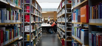 How to Write a Methodology Section for Your Dissertation